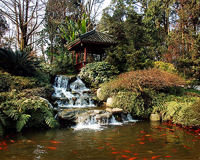 Ponds & Waterfalls Mohnton, PA